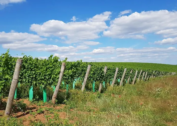 Apartament Vinarstvi Klucov Lstibor